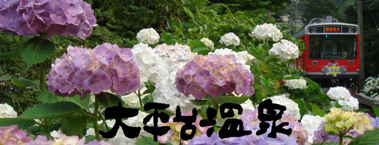 代替画像.jpg
